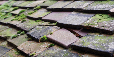 Stantonbury roof repair costs